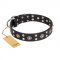 "Refined Essence" FDT Artisan Black Leather Sharpei Collar with Silvery Studs