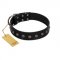 "Flower Rhapsody" FDT Artisan Premium Quaulity Black Leather Sharpei Collar