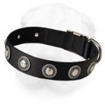 Nylon Shar-Pei Collar with Silver Conchos
