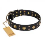 "Cosmic Glow" FDT Artisan Black Leather Sharpei Collar with Brass-Plated Studs
