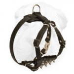 Spiked Shar-Pei Harness for Puppies with D ring and Quick Release Buckle