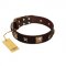"Choco Dreams" FDT Artisan Brown Leather Sharpei Collar with Squares and Stars