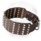 Wide Shar-Pei Collar Decorated with Spikes and Studs