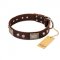 "Pirate Skull" FDT Artisan Brown Leather Sharpei Collar with Old Silver Look Plates and Skulls