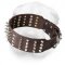 Wide Leather Shar Pei Collar with Spikes and Pyramids
