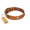 "Celtic Tunes" FDT Artisan Tan Leather Sharpei Collar Adorned with Stars and Squares