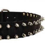 Nylon Shar Pei Collar with Nickel Plated Spikes