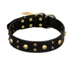 FDT Artisan 'Heavy Metal' Leather Shar Pei Collar with Skulls and Studs 1 1/2 inch (40 mm)
