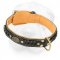 Royal Shar-Pei Collar with Nappa Padding