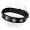 Nylon Shar-Pei Collar with Silver Conchos