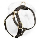Tracking/Walking Leather Dog Harness with Brass Fittings for Shar Pei Breed