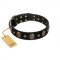 Pirate's Spell' FDT Artisan Black Leather Sharpei Collar with Engraved Studs and Medallions