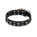FDT Artisan 'Rock 'n' Roll Style' Fancy Leather Shar Pei Collar with Skulls, Bones and Studs 1 1/2 inch (40 mm) wide
