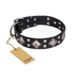 "Smart Geometry" FDT Artisan Studded Leather Sharpei Collar