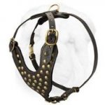 Studded Walking dog harness- handmade leather harness- H15