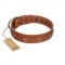 "Star Shine" Exclusive FDT Artisan Tan Leather Sharpei Collar with Silver-Like Adornments