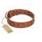 "Enchanted Skulls" FDT Artisan Tan Leather Sharpei Collar with Chrome Plated Skulls