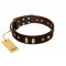"Blinking Illusion" FDT Artisan Brown Leather Sharpei Collar with Old Bronze-like Studs and Plates