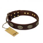 "Chocolate kiss" FDT Artisan Leather Sharpei Collar with Old Bronze Look Oval Plates