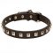 Slim Leather Collar with Square Studs for Shar Pei