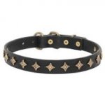 Trendy Leather Collar with Brass Stars