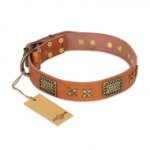 "Cosmic Traveller" FDT Artisan Adorned Leather Sharpei Collar with Old Bronze-Plated Stars and Plates