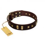 "Choco Delight" FDT Artisan Brown Leather Sharpei Collar with Old Bronze-like Plates and Studs