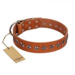 "Star Trek" FDT Artisan Tan Leather Sharpei Collar Decorated with Stars