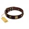 "Crazy Pirate" FDT Artisan Brown Leather Sharpei Collar with Old Bronze-Plated Skulls and Plates