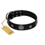 "Blue Gems" FDT Artisan Black Leather Sharpei Collar with Chrome Plated Studs and Conchos