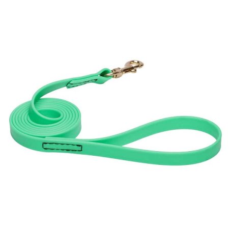 Green Waterproof Sharpei Leash Made of Biothane