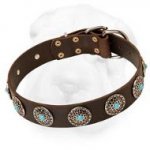 Wide Leather Collar with Silver Plated Blue Stones Decorated Conchos for Shar Pei