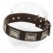 Leather Shar-Pei Collar Decorated with Vintage Nickel Plates
