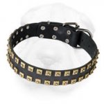"Caterpillar" Design Leather Dog Collar for Shar-Pei