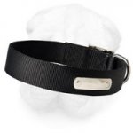 Shar-Pei Nylon Collar with Name Tag