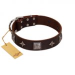 "Cold Star" Designer FDT Artisan Brown Leather Sharpei Collar with Silver-Like Adornments