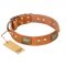 "Saucy Nature" FDT Artisan Tan Leather Sharpei Collar with Old Bronze Look Plates and Skulls