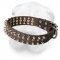 Leather Shar Pei Collar with Nickel Spikes and Brass Studs