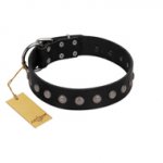 "Silver Flower" Exclusive FDT Artisan Black Leather Sharpei Collar with Silver-Like Studs