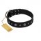 "Mr. Elegance" Designer FDT Artisan Black Leather Sharpei Collar with Silver-Like Studs