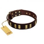 "Peace and Harmony" FDT Artisan Brown Leather Sharpei Collar with Plates
