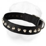 Nylon Shar-Pei Collar with Nickle Pyramids