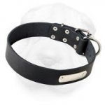 Shar Pei Breed Leather Collar with ID Tag