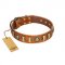 "Happy Hound" FDT Artisan Tan Leather Sharpei Collar with Elegant Decorations