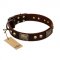"Magic Amulet" Brown Leather Sharpei Collar with Skulls and Plates