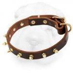 Creative Shar-Pei Collar with Brass Spikes