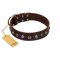 "Dark Chocolate" Handmade FDT Artisan Brown Leather Sharpei Collar with Studs