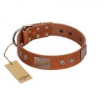 "Great Obelisk" Handcrafted FDT Artisan Tan Leather Sharpei Collar with Large Plates and Pyramids