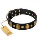 "Venerable Pawty" FDT Artisan Black Leather Sharpei Collar with Old Bronze-like Ovals and Studs