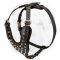 Studded Leather Dog Harness with Y-shaped Chest Plate for Shar Pei